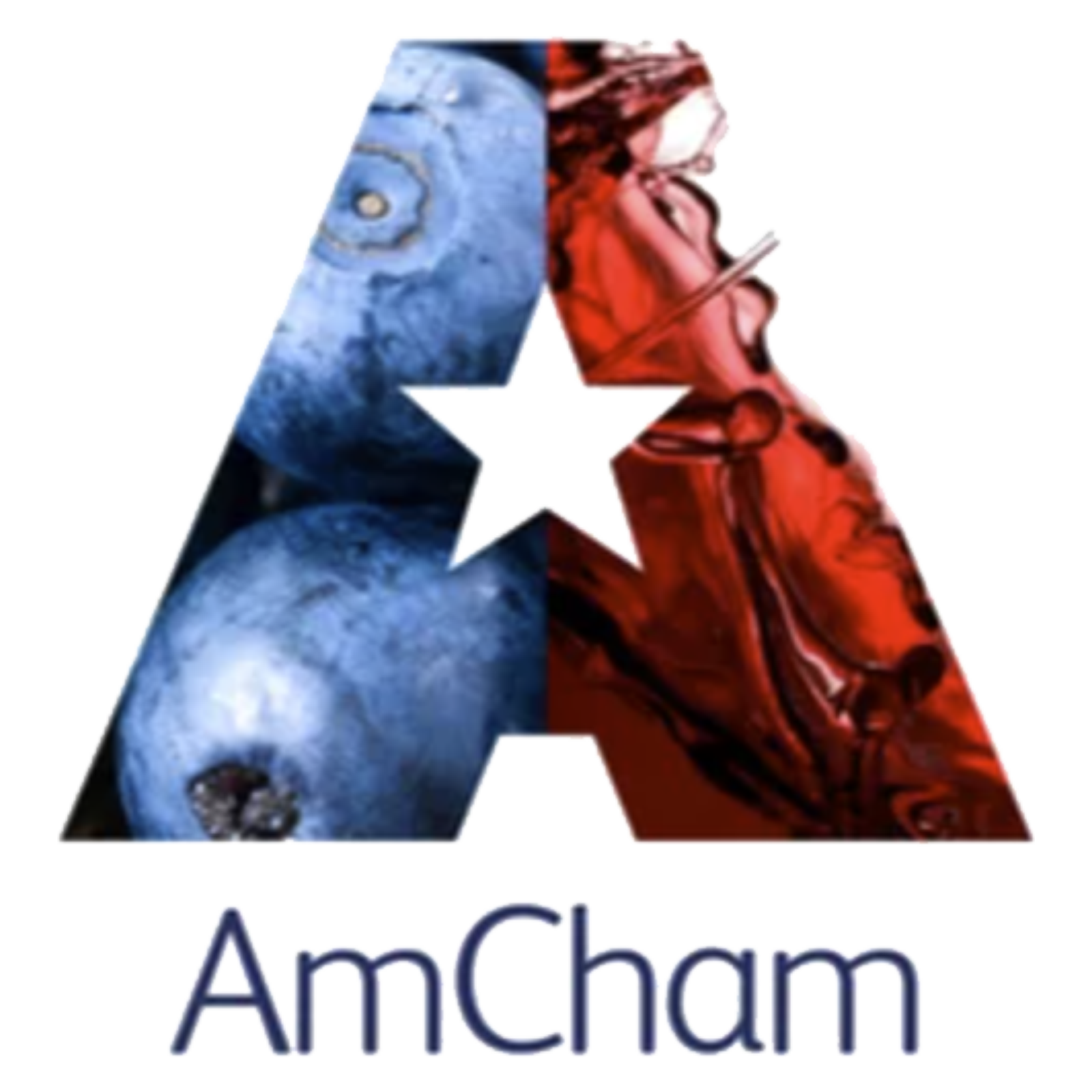 amcham-logo